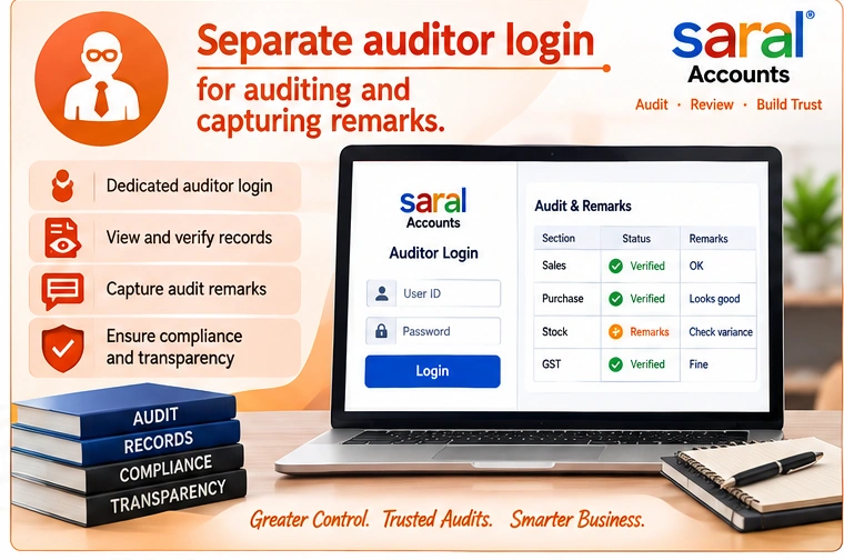 Auditor accounting software access